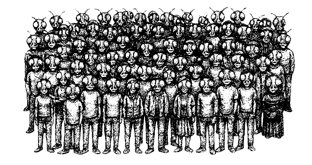 Enjambre