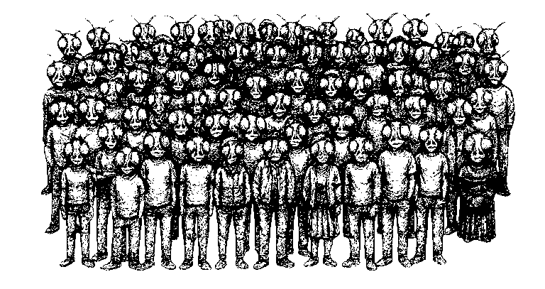Enjambre